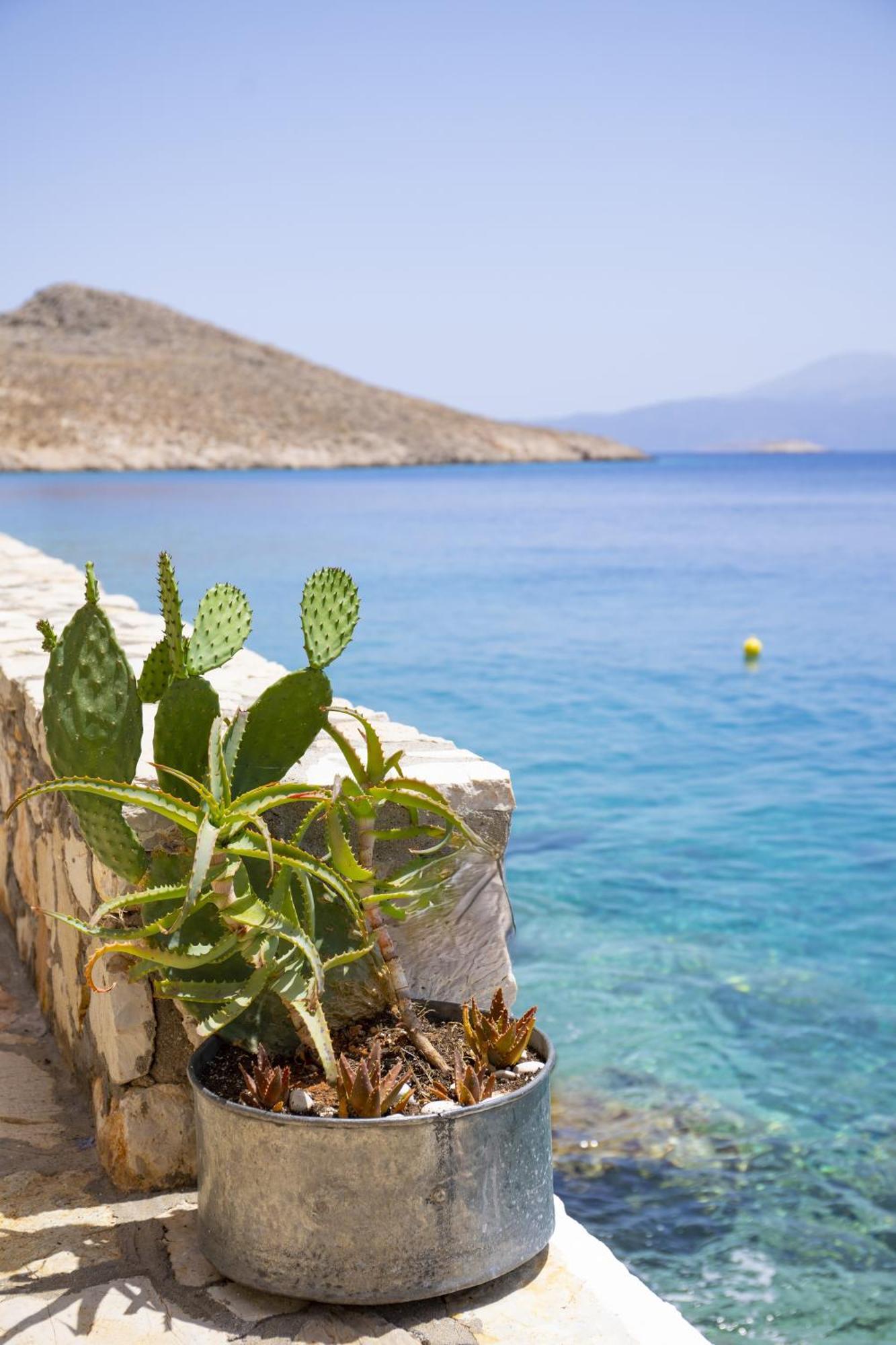Villa Electra Chalki Town Exterior photo